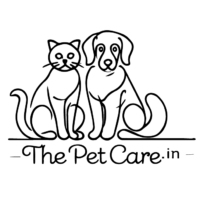 the pet care